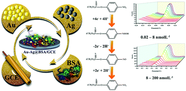 Graphical abstract: A novel and high performance enzyme-less sensing layer for electrochemical detection of methyl parathion based on BSA templated Au–Ag bimetallic nanoclusters