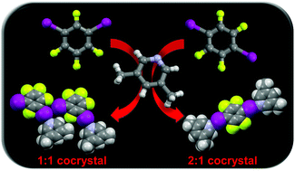 Graphical abstract: Comparison of isomeric meta- and para-diiodotetrafluorobenzene as halogen bond donors in crystal engineering