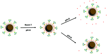 Graphical abstract: A pH-responsive and magnetic Fe3O4@silica@MIL-100(Fe)/β-CD nanocomposite as a drug nanocarrier: loading and release study of cephalexin