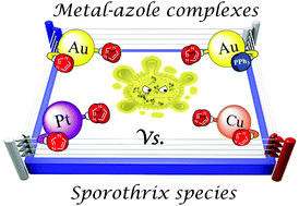 Graphical abstract: Metal–azole fungistatic drug complexes as anti-Sporothrix spp. agents