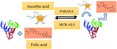 Graphical abstract: Novel insights into the effect of folate–albumin binding on the transport of ascorbic acid as an anticancer agent: chemometric analysis based on combined spectroscopic and electrochemical studies
