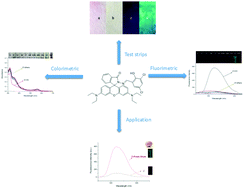 Graphical abstract: A novel colorimetric and ratiometric fluorescent CN− sensor based on rhodamine B hydrazone derivatives in aqueous media and its application in sprouting potatoes