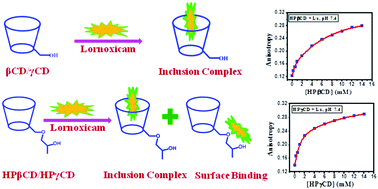 Graphical abstract: Fluorescence, FTIR and 1H NMR studies of the inclusion complexes of the painkiller lornoxicam with β-, γ-cyclodextrins and their hydroxy propyl derivatives in aqueous solutions at different pHs and in the solid state