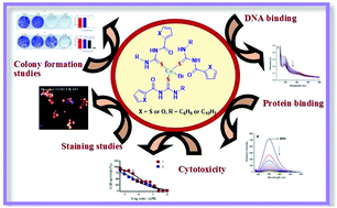 Graphical abstract: Highly active copper(i) complexes of aroylthiourea ligands against cancer cells – synthetic and biological studies