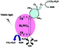Graphical abstract: A PW12/Bi2WO6 composite photocatalyst for enhanced visible light photocatalytic degradation of organic dye pollutants