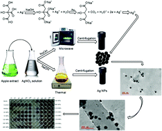 Graphical abstract: Green synthesis of silver nanoparticles using one-pot and microwave-assisted methods and their subsequent embedment on PVDF nanofibre membranes for growth inhibition of mesophilic and thermophilic bacteria