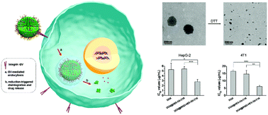 Graphical abstract: iRGD-decorated reduction-responsive nanoclusters for targeted drug delivery