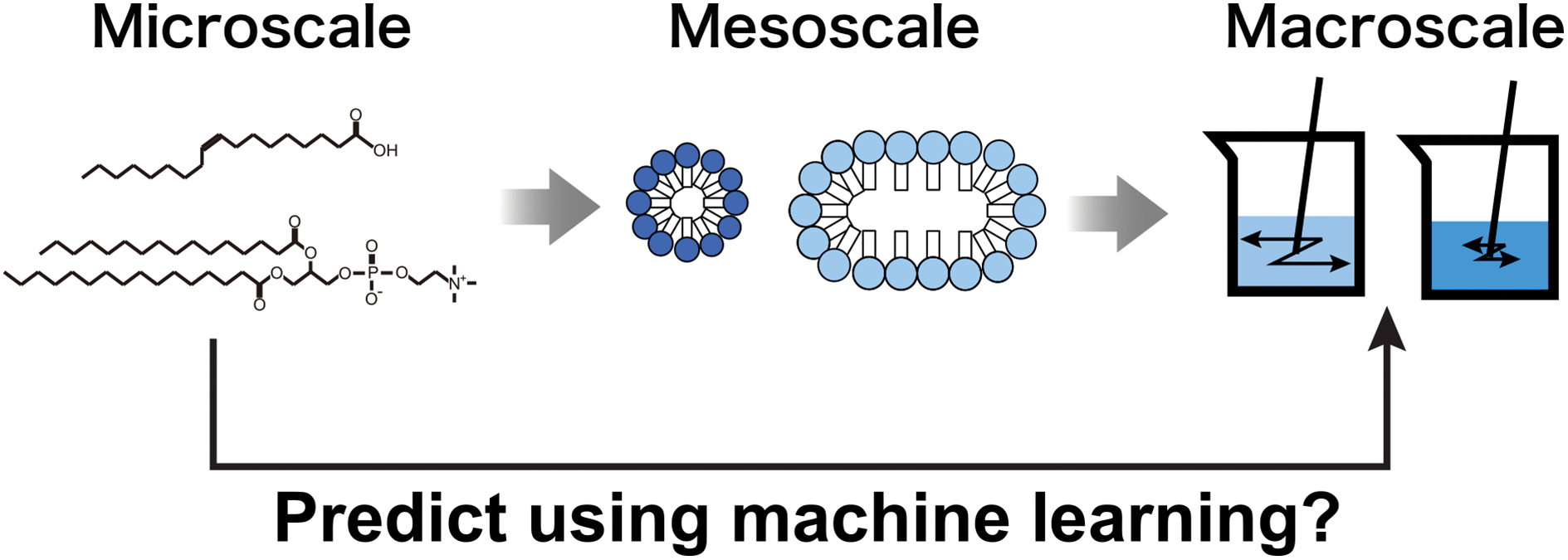 Graphical abstract: Multiscale prediction of functional self-assembled materials using machine learning: high-performance surfactant molecules