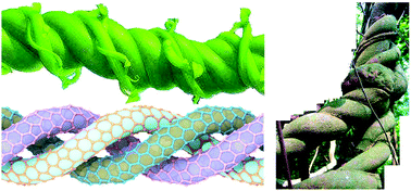 Graphical abstract: Nature-inspired entwined coiled carbon mechanical metamaterials: molecular dynamics simulations