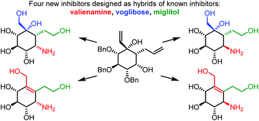 Graphical abstract: Divergent synthesis of new α-glucosidase inhibitors obtained through a vinyl Grignard-mediated carbocyclisation