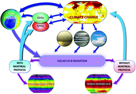 Graphical abstract: Ozone–climate interactions and effects on solar ultraviolet radiation