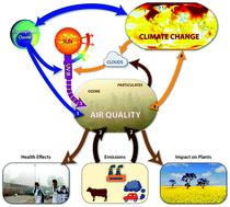 Graphical abstract: Interactive effects of changing stratospheric ozone and climate on tropospheric composition and air quality, and the consequences for human and ecosystem health