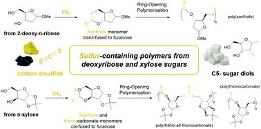 Graphical abstract: Polymers from sugars and CS2: synthesis and ring-opening polymerisation of sulfur-containing monomers derived from 2-deoxy-d-ribose and d-xylose