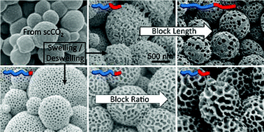 Graphical abstract: A facile route to bespoke macro- and mesoporous block copolymer microparticles