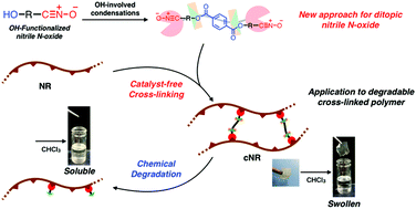 Graphical abstract: New synthetic route to OH-functionalized nitrile N-oxide and polyfunctional nitrile N-oxides for click crosslinking and decrosslinking of natural rubber
