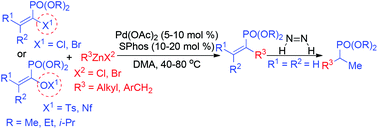 Graphical abstract: Palladium-catalysed coupling of α-halo vinylphosphonate and α-phosphonovinyl sulfonate with alkylzincs: straightforward and versatile synthesis of α-alkyl vinylphosphonates