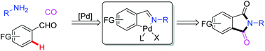 图解摘要：从胺中选择性地形成邻苯二甲酰亚胺，钯催化氧化C_“H-氨基羰基化的醛和CO