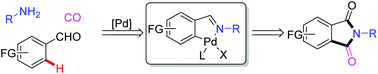 Graphical abstract: Selective formation of phthalimides from amines, aldehydes and CO by Pd-catalyzed oxidative CâH aminocarbonylation