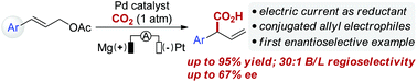 图解摘要：钯催化烯丙基酯与二氧化碳的还原电炭化反应