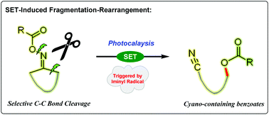 Graphical abstract: Photoinduced fragmentation-rearrangement sequence of cycloketoxime esters
