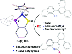 Graphical abstract: Cobalt-catalyzed radical cyclization of isocyanides forming phenanthridine derivatives