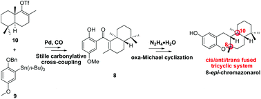 Graphical abstract: Total synthesis of (−)-8-epi-chromazonarol enabled by a unique N2H4·H2O promoted intramolecular oxa-Michael cyclization reaction