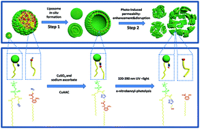 Graphical abstract: Liposomes formed from photo-cleavable phospholipids: in situ formation and photo-induced enhancement in permeability