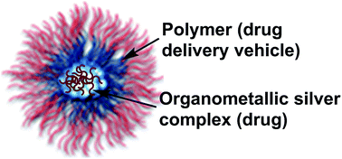 Graphical abstract: Polymer encapsulation of anticancer silver–N-heterocyclic carbene complexes