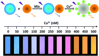 Graphical abstract: Semi-quantitative and visual assay of copper ions by fluorescent test paper constructed with dual-emission carbon dots