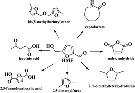 Graphical abstract: Efficient conversion of 5-hydroxymethylfurfural to high-value chemicals by chemo- and bio-catalysis