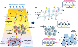 Graphical abstract: Facile organic surfactant removal of various dimensionality nanomaterials using low-temperature photochemical treatment