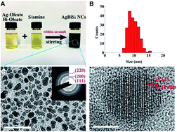 Graphical abstract: Facile synthesis of AgBiS2 nanocrystals for high responsivity infrared detectors
