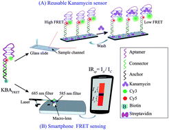 Graphical abstract: Smartphone-based kanamycin sensing with ratiometric FRET