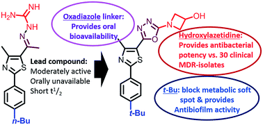 Graphical abstract: tert-Butylphenylthiazoles with an oxadiazole linker: a novel orally bioavailable class of antibiotics exhibiting antibiofilm activity