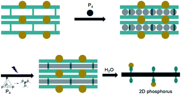 Graphical abstract: Synthesis of a 2D phosphorus material in a MOF-based 2D nano-reactor