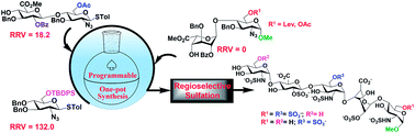 Graphical abstract: Programmable one-pot synthesis of heparin pentasaccharides enabling access to regiodefined sulfate derivatives
