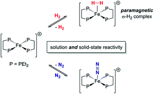 Graphical abstract: Reversible coordination of N2 and H2 to a homoleptic S = 1/2 Fe(i) diphosphine complex in solution and the solid state