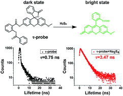 Graphical abstract: A fluorescent -probe: quantitative imaging of ultra-trace endogenous hydrogen polysulfide in cells and in vivo