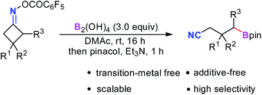 Graphical abstract: Transition-metal free C–C bond cleavage/borylation of cycloketone oxime esters