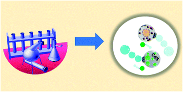 Graphical abstract: Lab-on-a-micromotor: catalytic Janus particles as mobile microreactors for tailored synthesis of nanoparticles