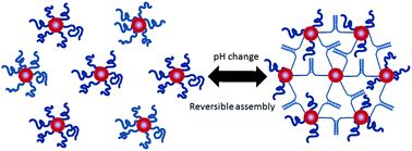 Graphical abstract: Liquid interfaces with pH-switchable nanoparticle arrays