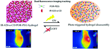 Graphical abstract: Photothermally triggered disassembly of a visible dual fluorescent poly(ethylene glycol)/α-cyclodextrin hydrogel