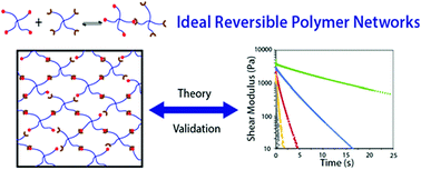 Graphical abstract: Ideal reversible polymer networks