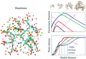Graphical abstract: Charge and hydration structure of dendritic polyelectrolytes: molecular simulations of polyglycerol sulphate