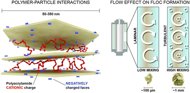 Graphical abstract: In situ polymer flocculation and growth in Taylor–Couette flows