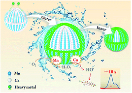 Graphical abstract: Mesoporous Ca–Mn–O as an efficient scavenger toward organic pollutants and heavy metals: ion exchange provoking ultrafast Fenton-like reaction based on the synergy of alkaline earth/transition metals