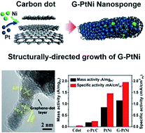 Graphical abstract: Robust graphene-wrapped PtNi nanosponge for enhanced oxygen reduction reaction performance