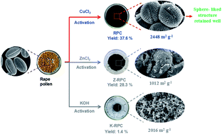 Graphical abstract: Large-scale synthesis of porous carbon via one-step CuCl2 activation of rape pollen for high-performance supercapacitors