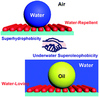 Graphical abstract: Dual superlyophobic surfaces with superhydrophobicity and underwater superoleophobicity