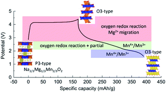 Graphical abstract: A novel P3-type Na2/3Mg1/3Mn2/3O2 as high capacity sodium-ion cathode using reversible oxygen redox